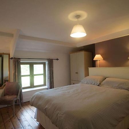 Perfect Cottage Retreat Near The Brecon Beacons Llanwrda 外观 照片