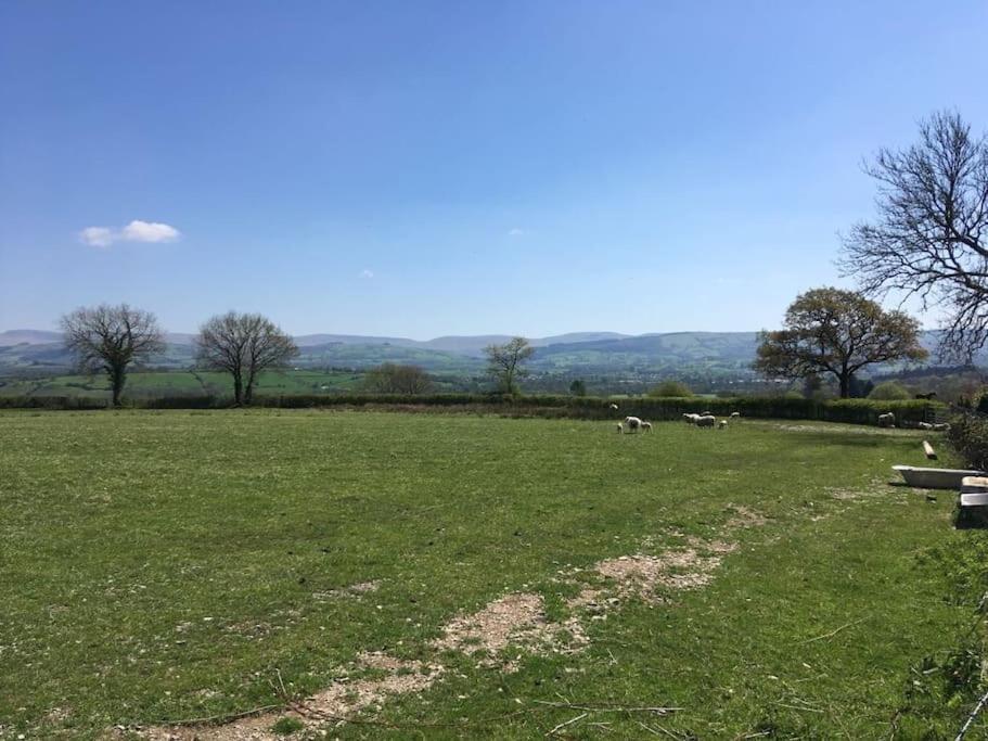 Perfect Cottage Retreat Near The Brecon Beacons Llanwrda 外观 照片