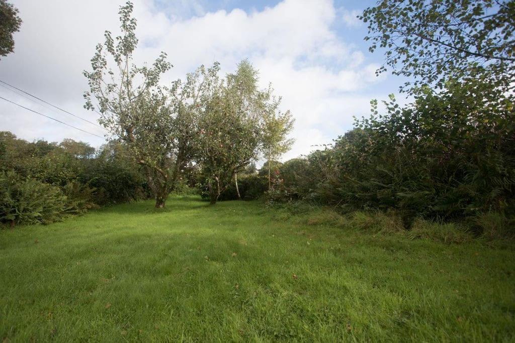 Perfect Cottage Retreat Near The Brecon Beacons Llanwrda 外观 照片